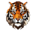 Tiger Book Online